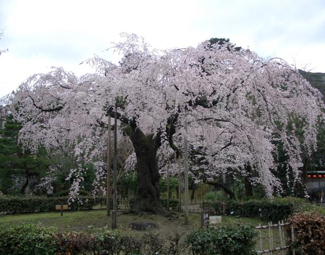 Maruyama Park